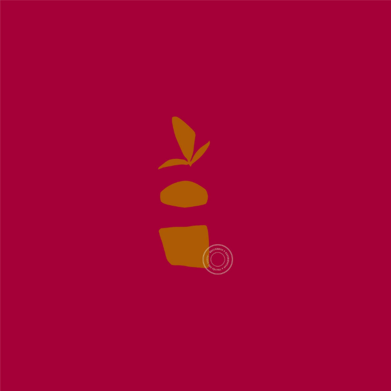 Diseño sin título (12)
